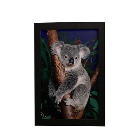 Quadro Decorativo Koala Pendurado