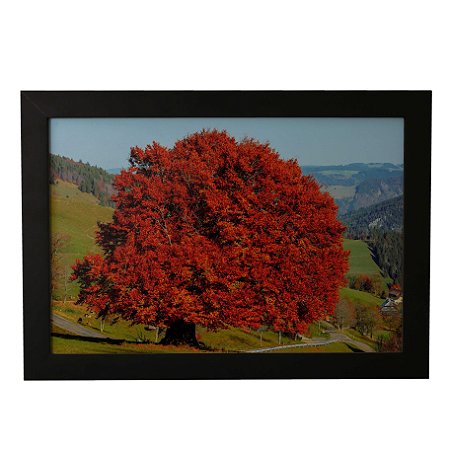 Quadro Decorativo Árvore Vermelha