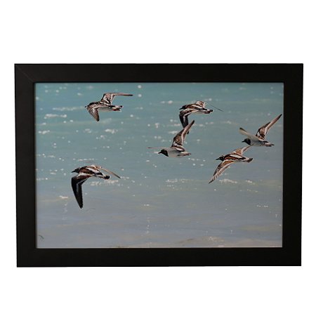 Quadro Decorativo Aves e Mar Azul