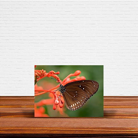 Azulejo Decorativo Borboleta