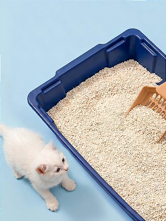 BANDEJA HIGIÊNICA PET - SORTIDA - TOTAL 24 UNIDADES