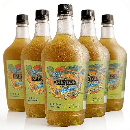 6x Chopp Babylon Spring Ale (Pêssego & Maracujá) - Growler 1L