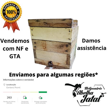 Enxame de Uruçu Amarela - bugia - Com NF e GTA