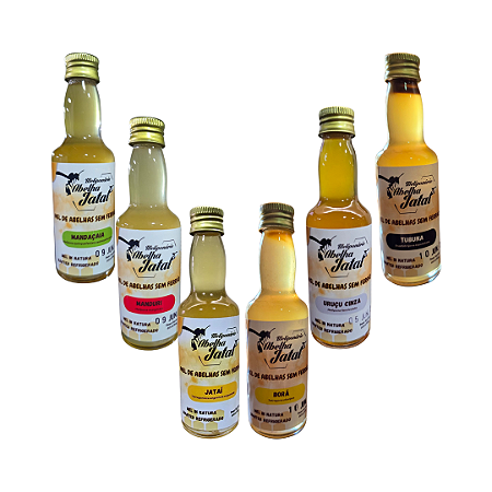 Kit Degustação méis de abelhas nativas - 6 frascos 60ml/80g