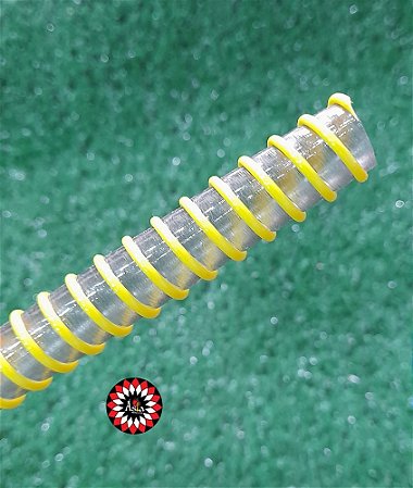 MANGUEIRA PLASTICA HELIX TRANSPARENTE VERDE LUMI