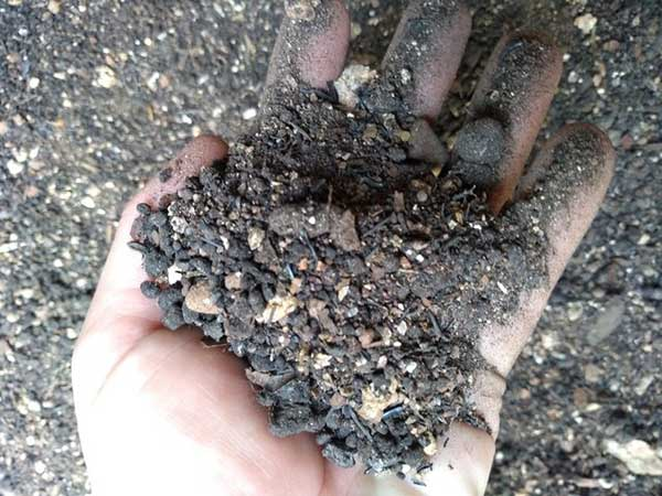 MariaMaria Solo vivo - PURO para MANUTENÇÃO de 120 Litros de Solo.
