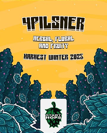 Lúpulo Brasileiro 4Pilsner 50gr