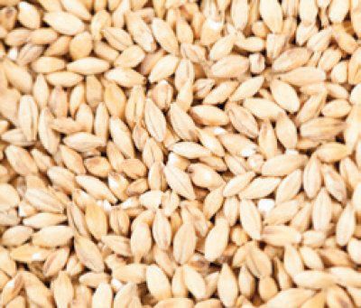 Malte Weyermann Acidificado 100g