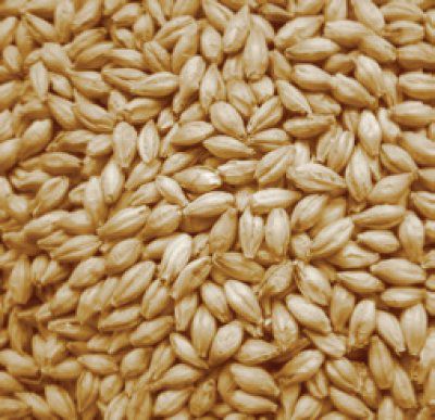 Malte Weyermann Defumado 100g