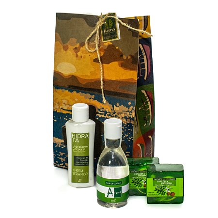 KIT P/ PRESENTE CAIXINHA RIBEIRINHO - 02 Sabonetes Safra Amazônica 60g / 01 Hidratante Corporal 60ml / 01 Água de Colônia 80ml / 1 Caixinha Artesanal Kraft - CÓD: 3412
