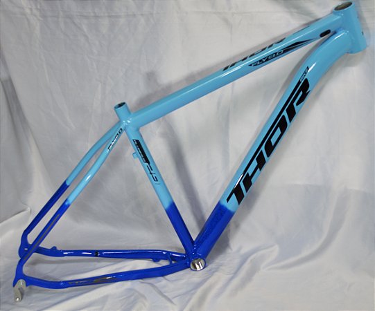 QUADRO 29 ALUM. MASC. T-21 AZL ES/AZL CL C/ADS PTO