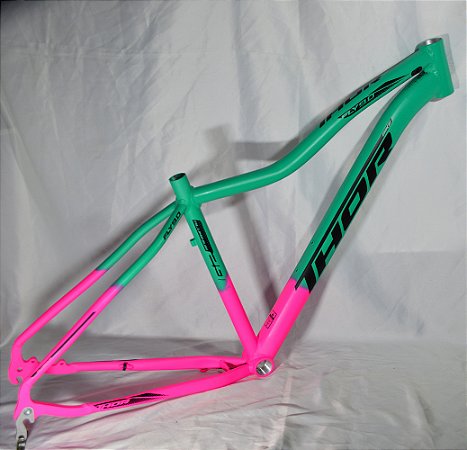 QUADRO 29 ALUM. FEM. T-15 RS/VRD ANIS FOSC C/ADS AZL/LIL