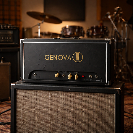 Amplificador Valvulado 20 w