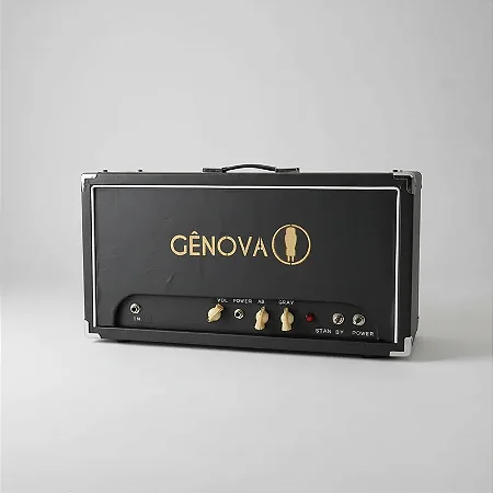 Amplificador Valvulado 20 w