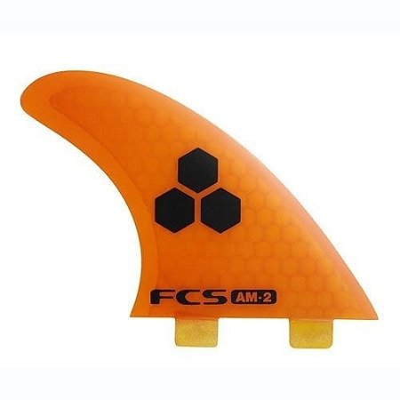 FCS AM-2