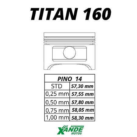 PISTAO KIT TITAN 160 / FAN 160 / BROS 160 SMART FOX  STD