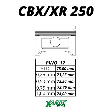 PISTAO KIT CBX 250 / XR 250  METAL LEVE 0,75