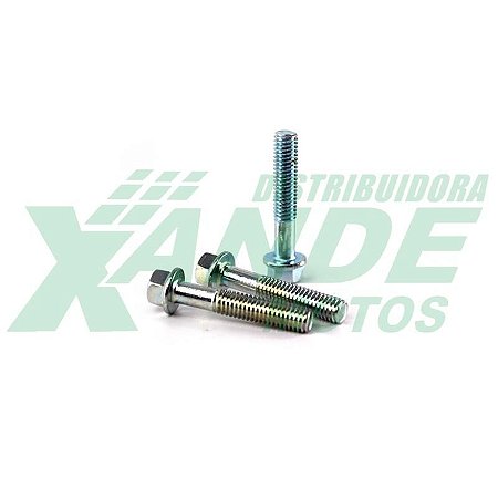 PARAFUSO SEXT M6 X 30 [C/FLANGE] (CH 8) TAMPA LATERAL MOTOR TITAN 125-150 TRILHA