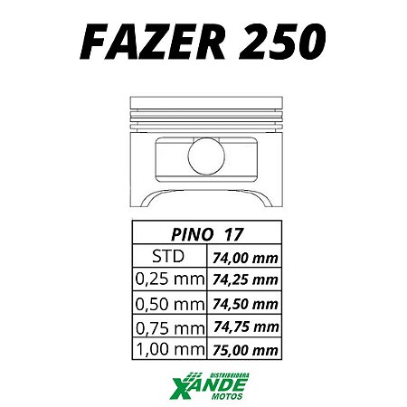 PISTAO KIT FAZER 250 / XTZ 250 LANDER  KMP/ RIK 0,50