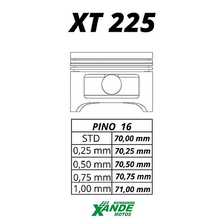 PISTAO KIT TDM 225 / XT 225 / TTR 230 KMP/ RIK 0,25