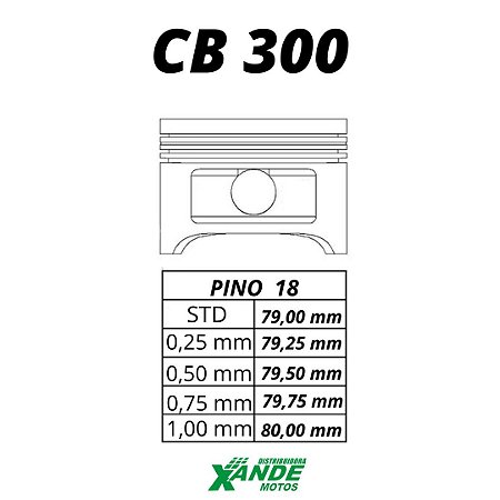 PISTAO KIT CB 300 / XRE 300 KMP/ RIK 1,00