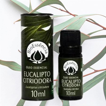 Eucalipto Citriodora - Óleo Essencial  (Eucalyptus citriodora)