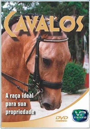 Cavalos - A Raça ideal para sua Propriedade