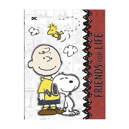 Pasta Catálogo Com 10 Envelopes Snoopy - Dac