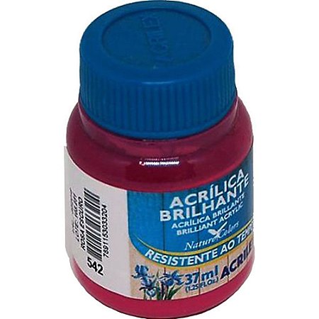 Tinta Acrílica Brilhante 100ml Vermelho Escarlate - Acrilex