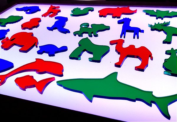 Animais do Zoológico em acrílico