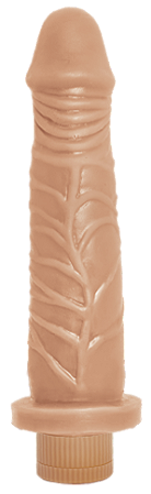 PRÓTESE CLÁSSICA - HP324 17x4cm