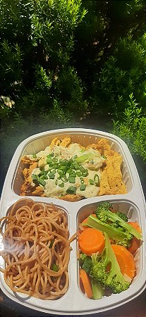 Plano 02 - semanal 28 marmitas 400 g Congelados