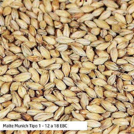 Malte Chateau Munich Light