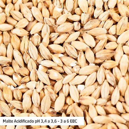 Malte Acid - Chateau