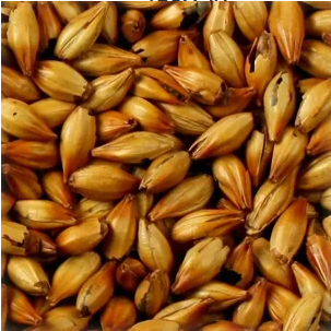 Chateau Castle Malt Cara Ruby