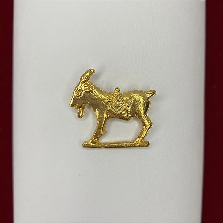 Pin Bode Maçônico dourado