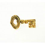 Pin Chave Dourada