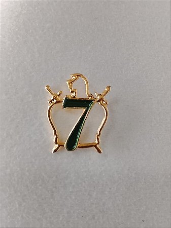 Pin Demolay