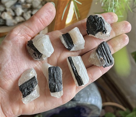 Turmalina Negra + Quartzo Cristal Pequena - Bruta