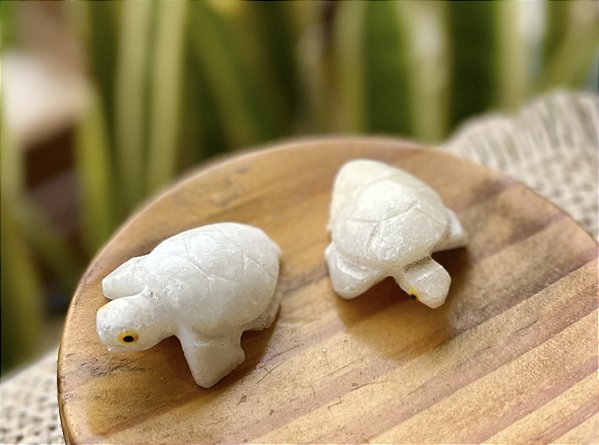 Tartaruga Albita - Mini