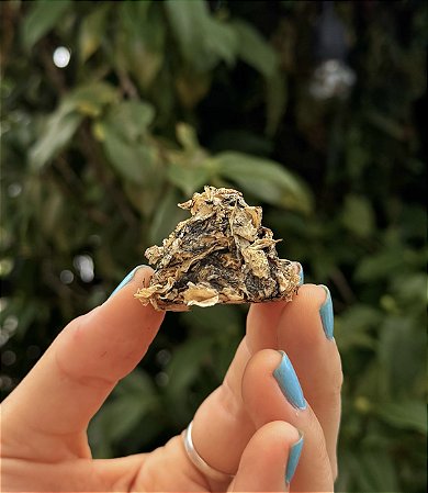 Brigadeiro Energético - Rosa Branca