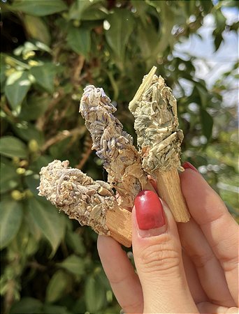 Trio Palo Santo Imantado - Mini