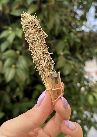 Palo Santo Imantado - Alecrim