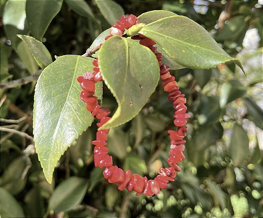 Pulseira Coral Vermelho