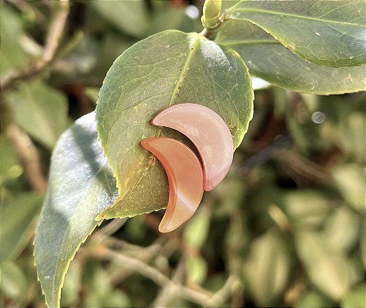 Brinco Ágata Cornalina - Lua
