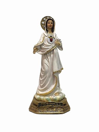 Sagrado Coração de Maria 17cm