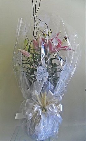 LIRIO ROSA COM BRANCO