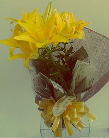 LÍRIO AMARELO