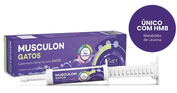 Musculon Gatos Seringa 30g