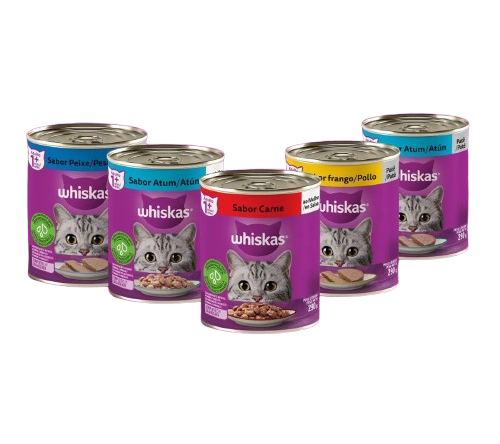 Whiskas Gatos Adultos 290g
